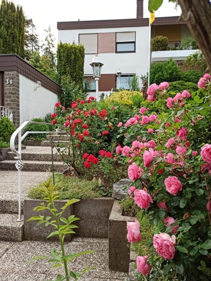 Apartments Gala, Ruhige Lage, Stadtnah Bad Kissingen Extérieur photo